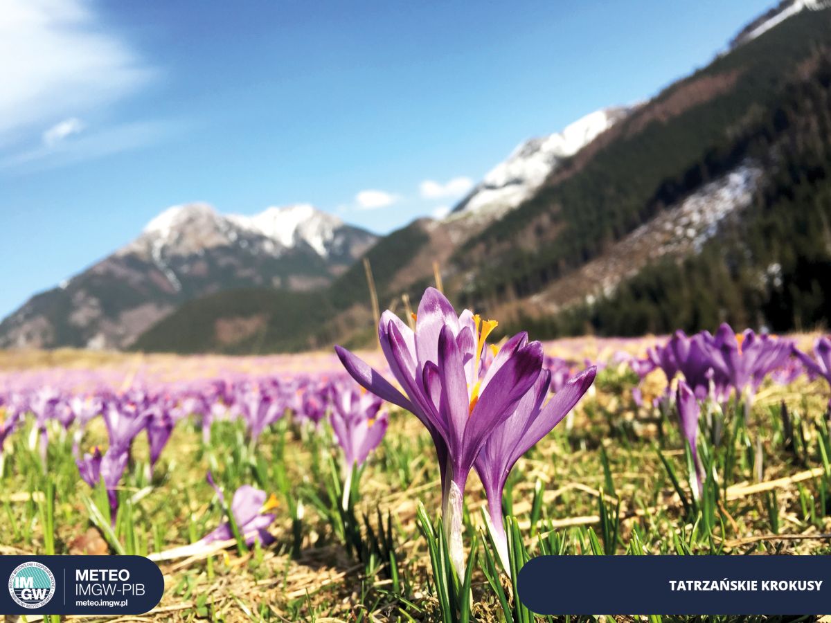 IMGW-PIB: Synoptyczna prognoza pogody na weekend 18-20.03.2022