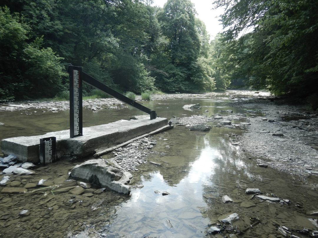 Komunikat IMGW-PIB: Niski stan wód na rzekach – aktualna sytuacja hydrologiczna