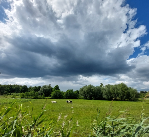 IMGW-PIB: Prognoza synoptyczna na 29 tydzień roku (18-24.07.2022)