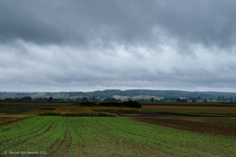 IMGW-PIB: Prognoza meteorologiczna i szczegółowa prognoza hydrologiczna na kolejne 7 dni (16-22 września 2022 r.)