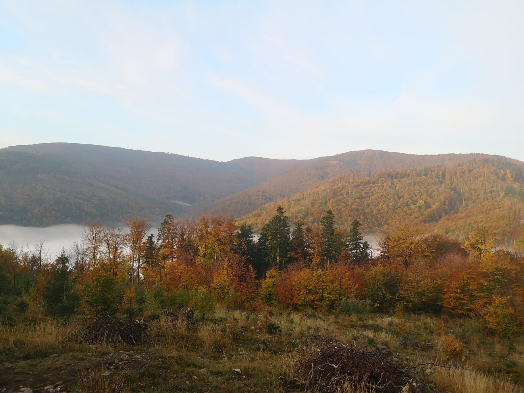 IMGW PIB: Synoptyczna prognoza pogody na weekend 14-16.10.2022 r.