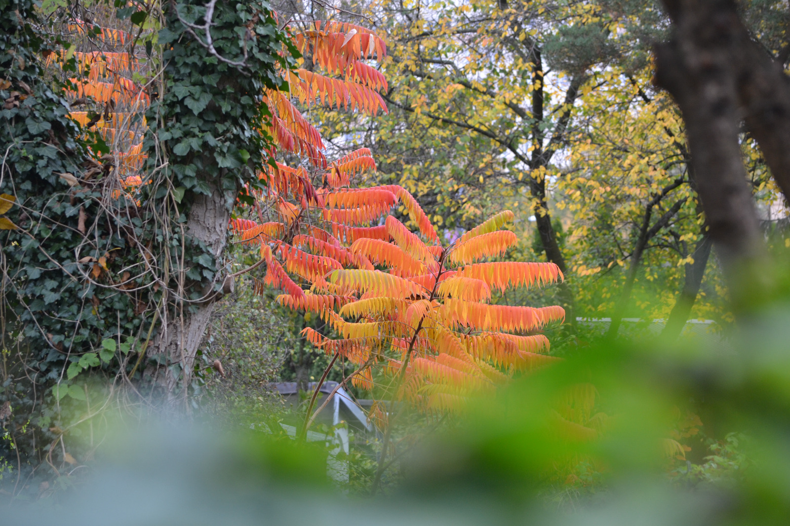 IMGW-PIB: Synoptyczna prognoza pogody na weekend 04-06.11.2022 r.