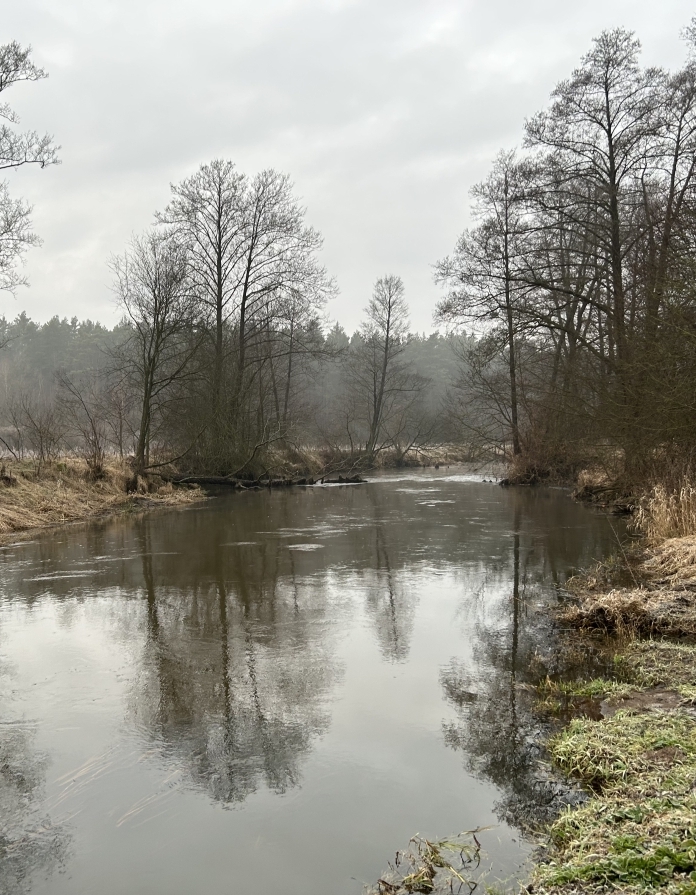 Prognoza meteorologiczna i szczegółowa prognoza hydrologiczna na kolejne 7 dni (27 stycznia-2 lutego 2023 r.)