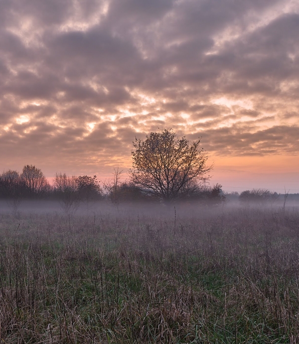 Prognoza synoptyczna na 1 tydzień roku (02-08.01.2023)