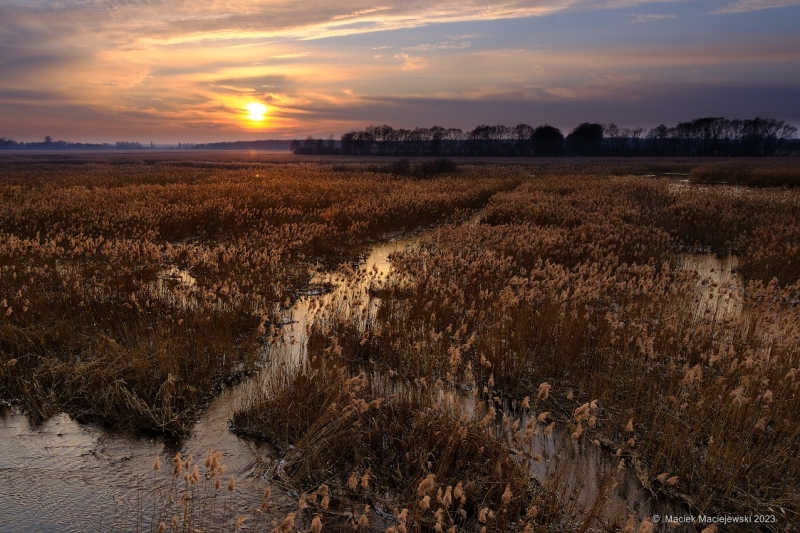 Prognoza synoptyczna na 9 tydzień roku (27.02-05.03.2023)