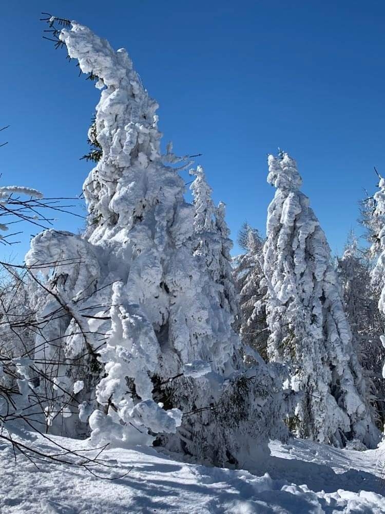 Synoptyczna prognoza pogody na weekend 10-12.02.2023 r.