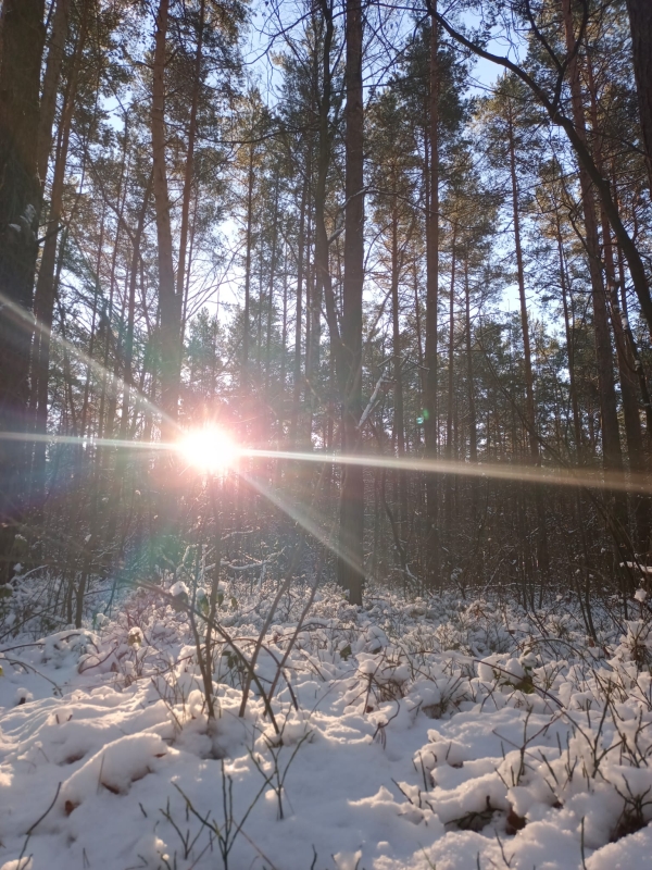 Prognoza synoptyczna na 6 tydzień roku (06-12.02.2023)