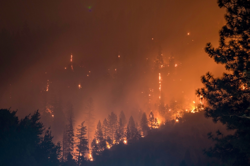 Fulbright Specialist Program „Development of fire modeling with the WRF-Sfire”
