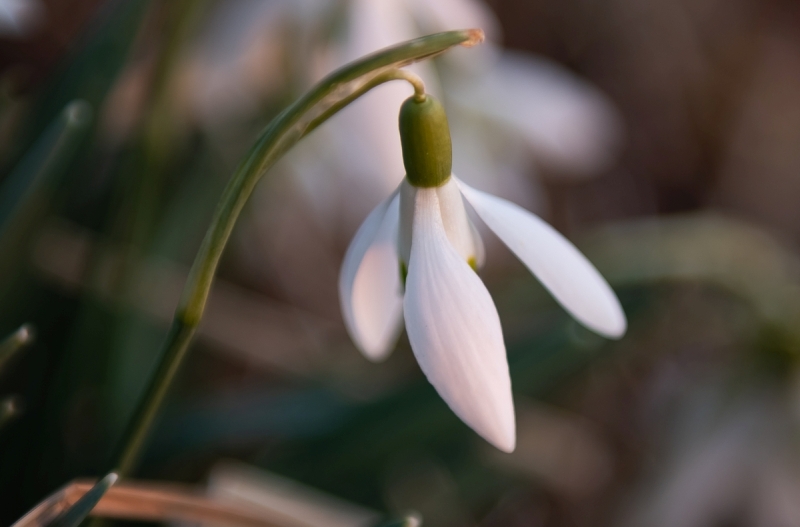 Prognoza synoptyczna na 11 tydzień roku (13-19.03.2023)