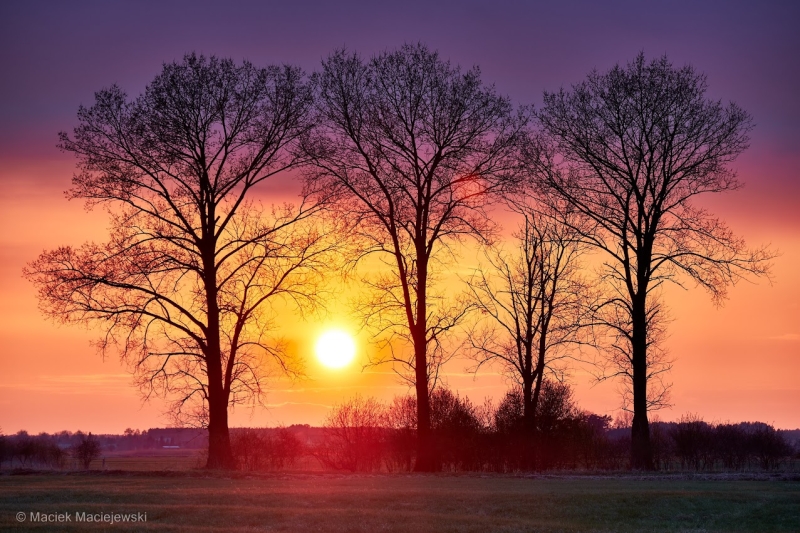 Prognoza meteorologiczna i szczegółowa prognoza hydrologiczna  na kolejne 7 dni (16-23.03.2023 r.)