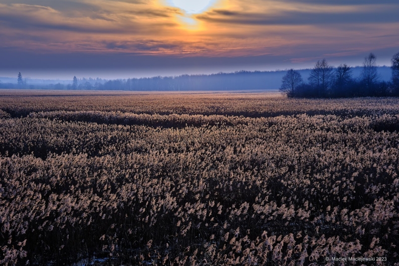 Synoptyczna prognoza pogody na weekend 10-12.03.2023 r.