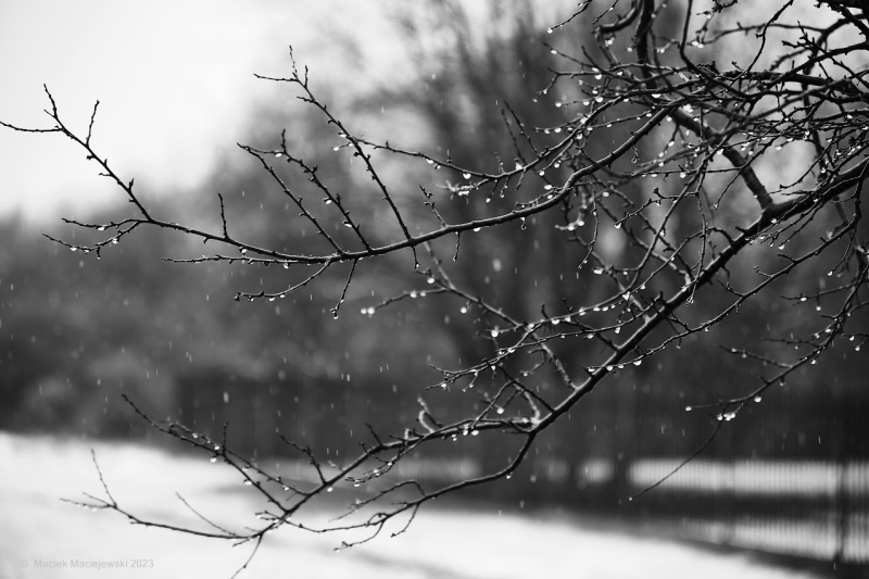 Prognoza meteorologiczna i szczegółowa prognoza hydrologiczna  na kolejne 7 dni (10-16.03.2023 r.)