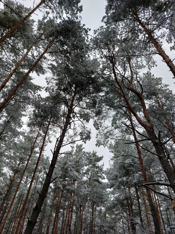Prognoza wartości minimalnej temperatury powietrza w dniu 5 kwietnia 2023 roku na tle warunków wieloletnich (1991-2020)