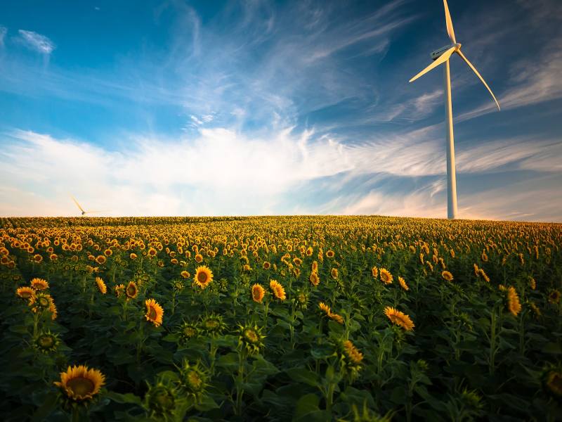 AMEW-PL – pierwszy cyfrowy Atlas małej energetyki wiatrowej dla Polski