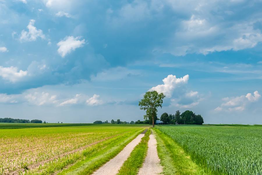 Synoptyczna prognoza pogody na weekend 09-11.06.2023 r.
