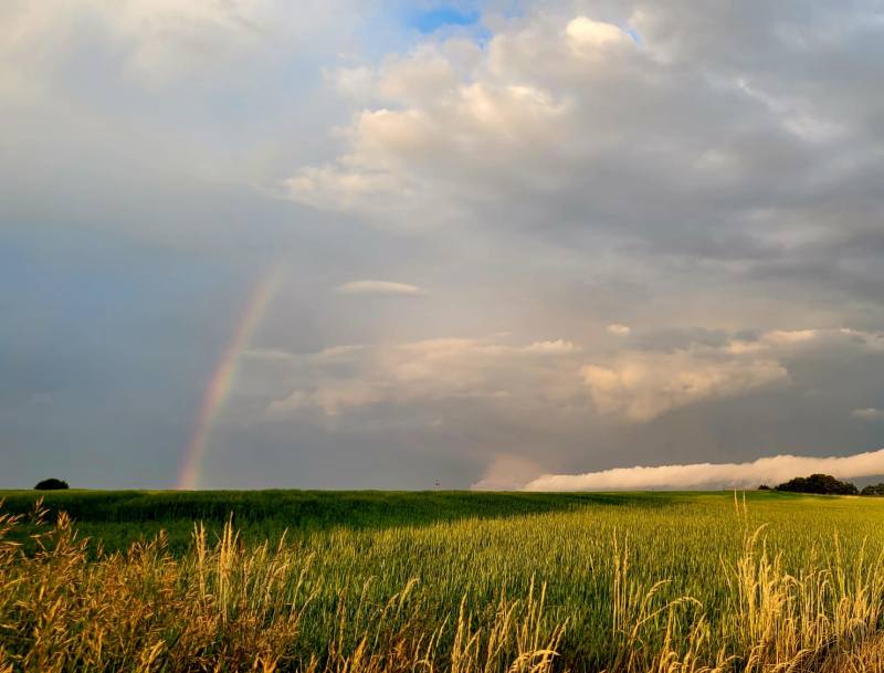 Prognoza synoptyczna na 25 tydzień roku (19-25.06.2023)