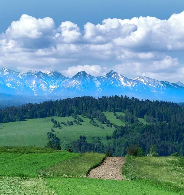Prognoza meteorologiczna i szczegółowa prognoza hydrologiczna  na kolejne 7 dni (02.06-08.06.2023 r.)