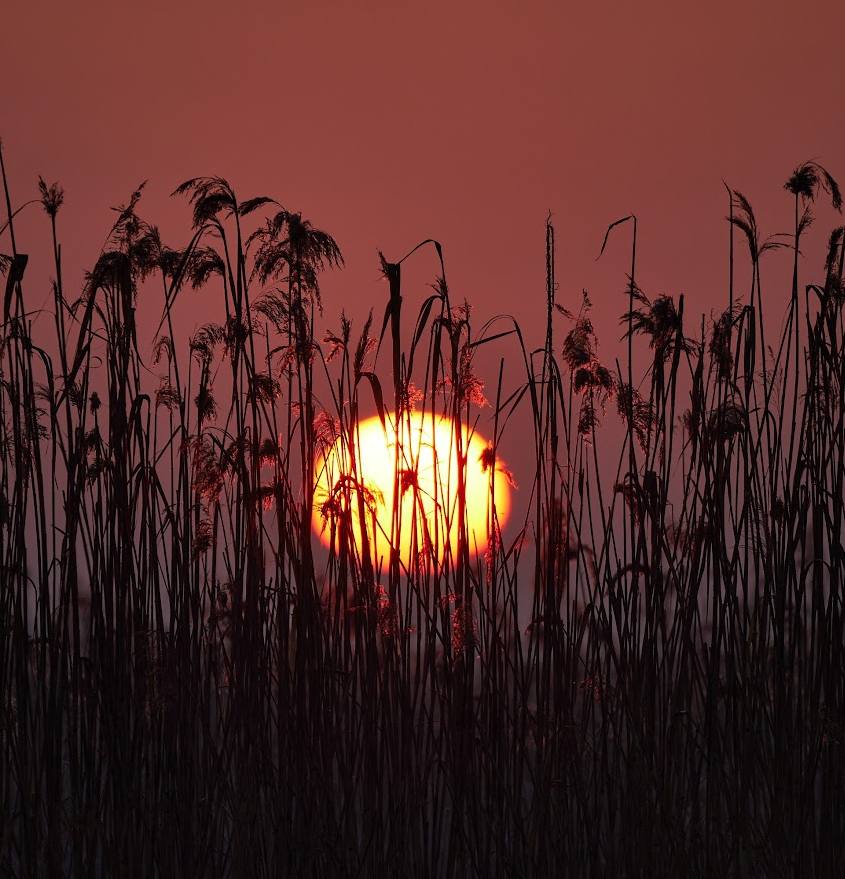 Synoptyczna prognoza pogody na weekend 02-04.06.2023 r.