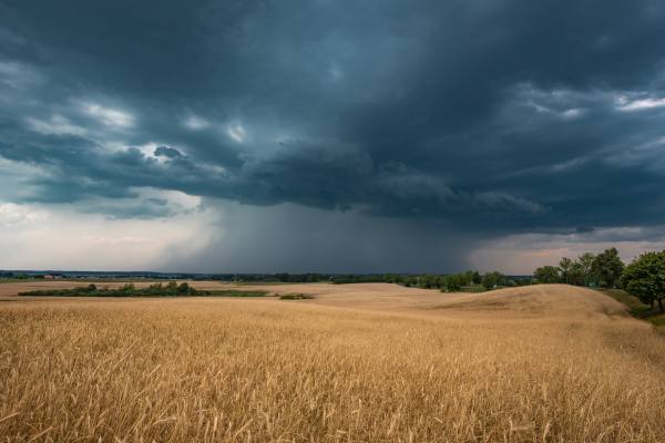 Prognoza synoptyczna na 30 tydzień roku (24-30.07.2023)