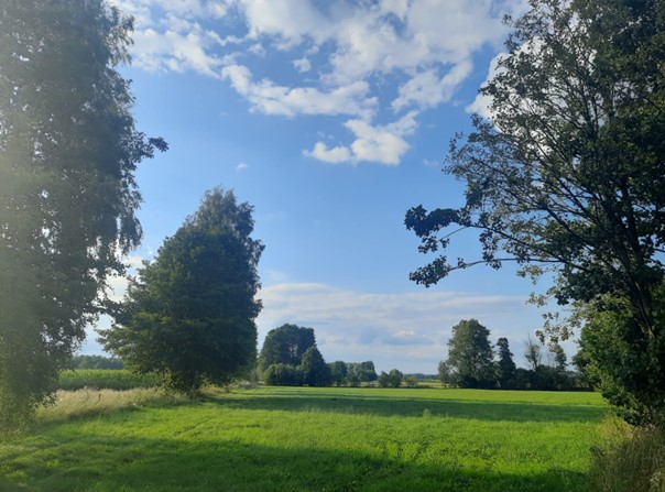Prognoza synoptyczna na 33 tydzień roku (14.08-20.08.2023)