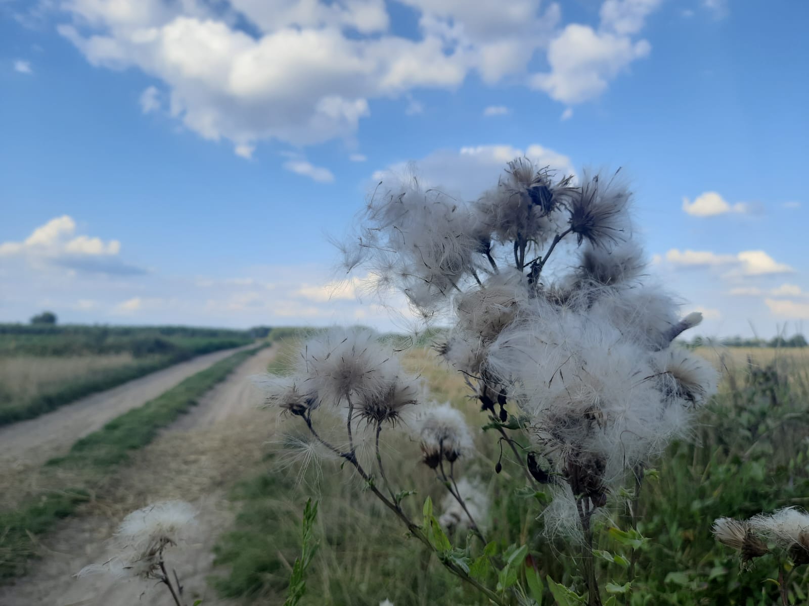 IMGW-PIB: Prognoza meteorologiczna i szczegółowa prognoza hydrologiczna  na kolejne 7 dni (18-24.08.2023 r.)