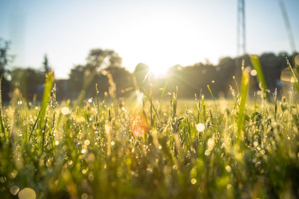 Prognoza wartości maksymalnej temperatury powietrza w dniu 8 września 2023 roku na tle warunków wieloletnich (1991-2020)