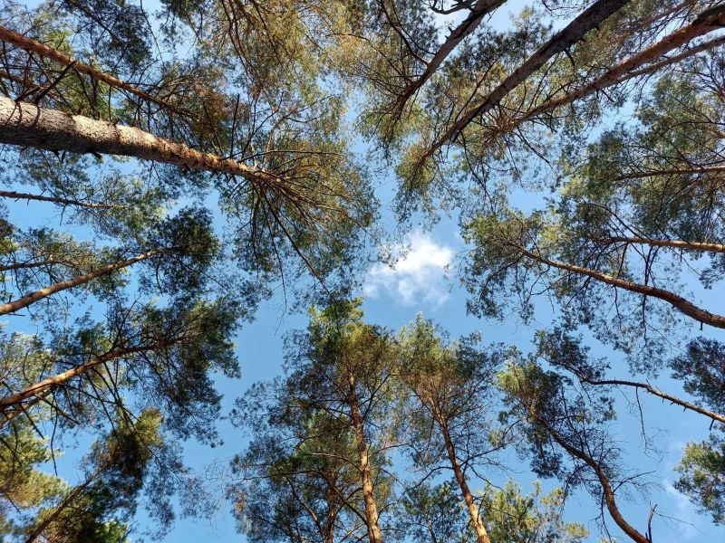 Charakterystyka wybranych elementów klimatu w Polsce  we wrześniu 2023 roku