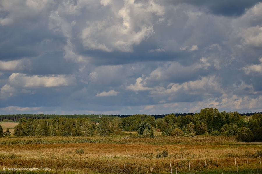Synoptyczna prognoza pogody na weekend 20-22.10.2023 r.