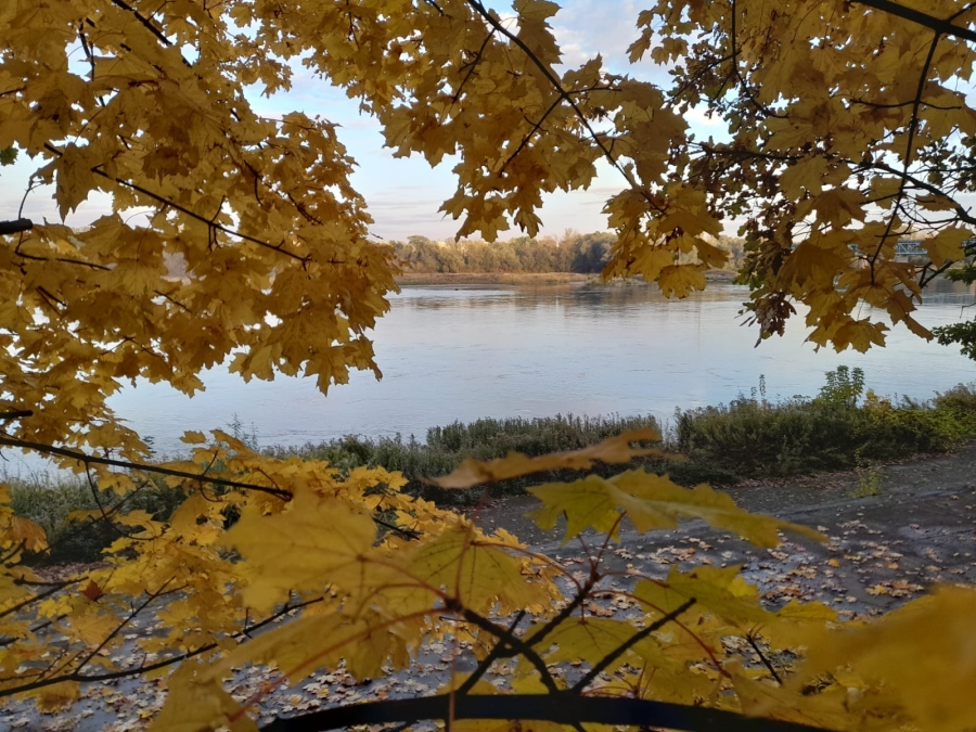 Prognoza meteorologiczna i szczegółowa prognoza hydrologiczna  na kolejne 7 dni (27.10-02.11.2023 r.)