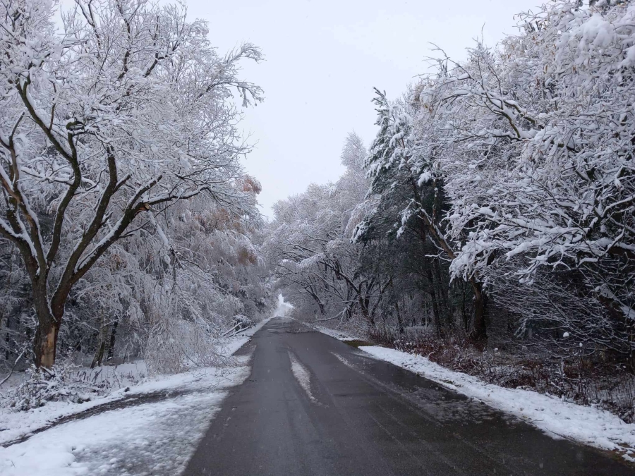Prognoza synoptyczna na 48 tydzień roku (27.11-03.12.2023)