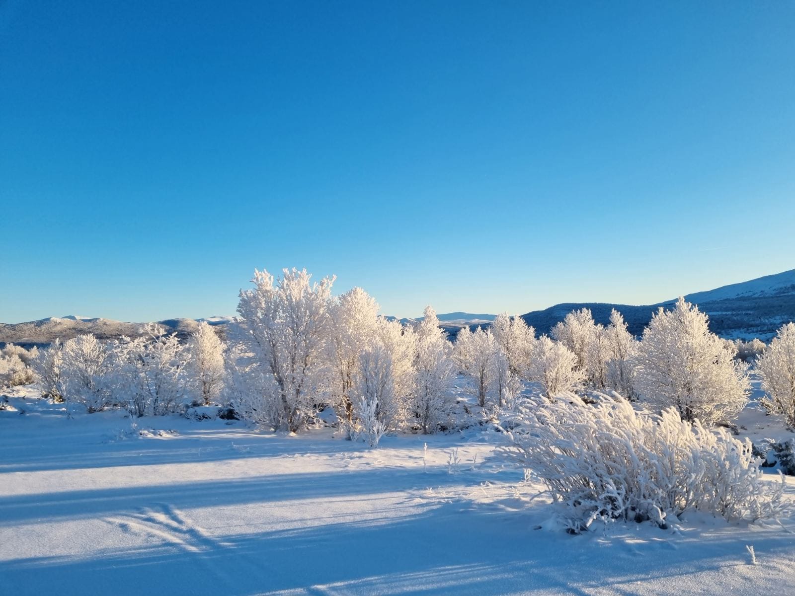 Synoptyczna prognoza pogody na weekend 24-26.11.2023 r.