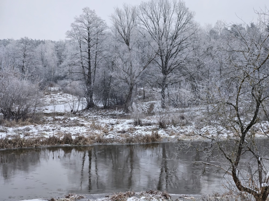 Mazowsze, 05.12.2023 r. Fot. Izabela Adrian | IMGW-PIB