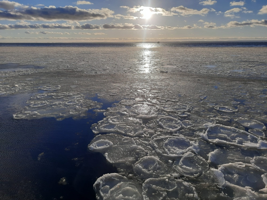 Prognoza meteorologiczna i szczegółowa prognoza hydrologiczna na kolejne 7 dni (19-25.01.2024 r.)
