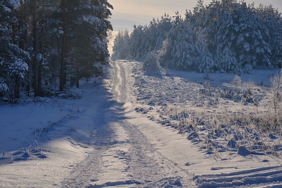 Synoptyczna prognoza pogody na 2. tydzień roku (08-14.01.2024)