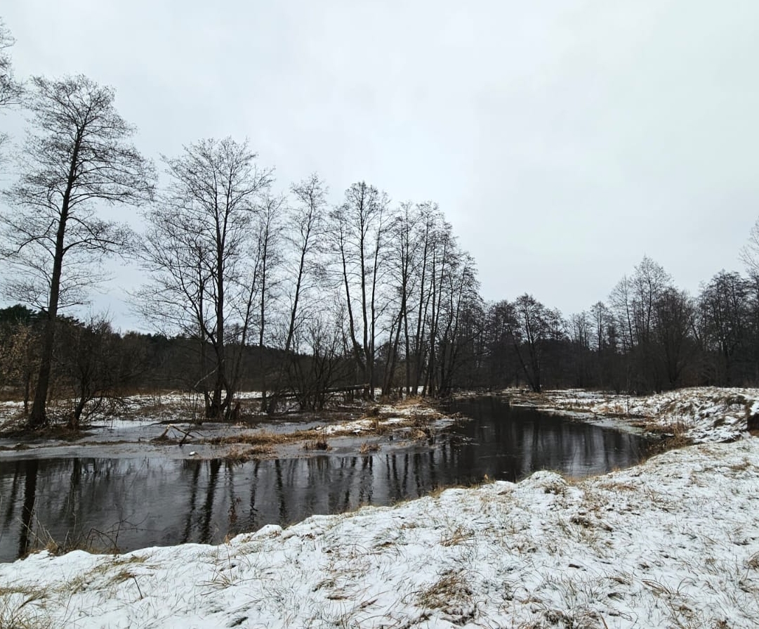 Prognoza wartości minimalnej temperatury powietrza w dniu 9 stycznia 2024 roku na tle warunków wieloletnich (1991-2020)