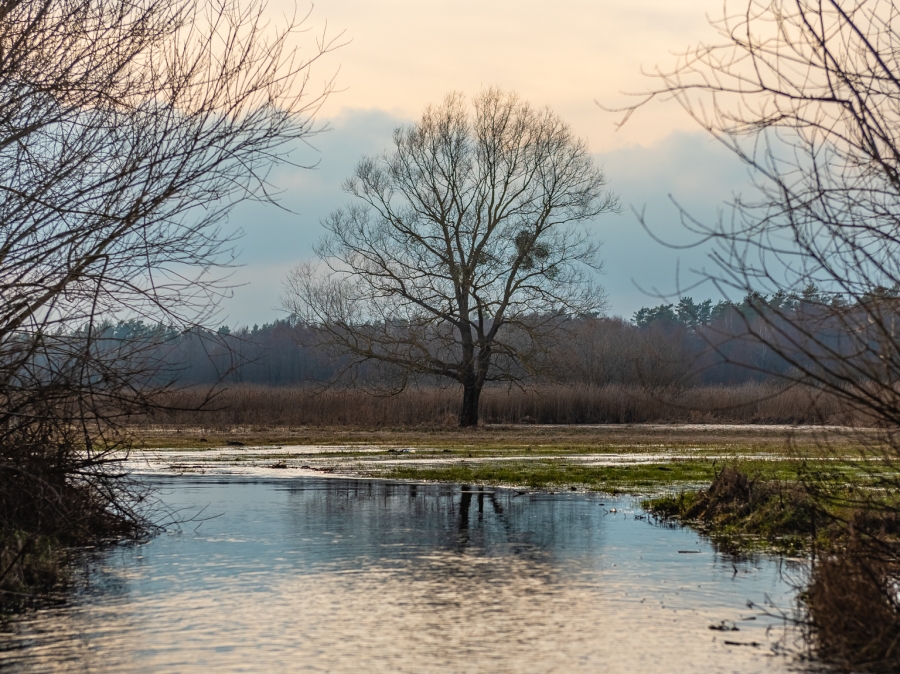 Prognoza meteorologiczna i szczegółowa prognoza hydrologiczna na kolejne 7 dni (01-07.03.2024 r.)