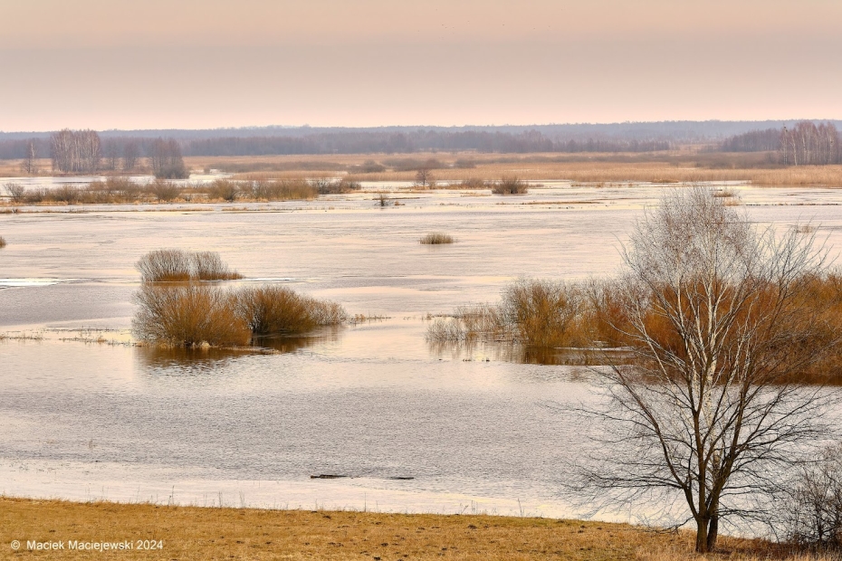 Prognoza meteorologiczna i szczegółowa prognoza hydrologiczna na kolejne 7 dni (23-29.02.2024 r.)