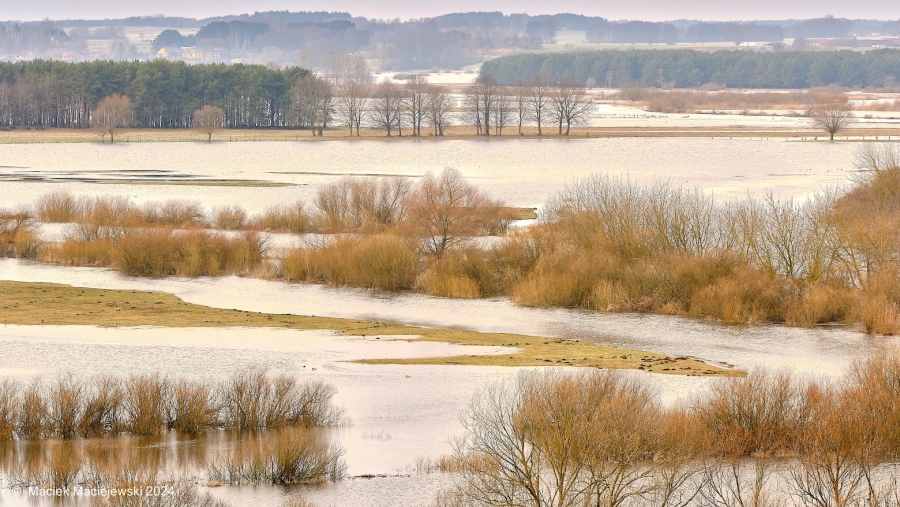 Synoptyczna prognoza pogody na 7. tydzień roku (12-18.02.2024)