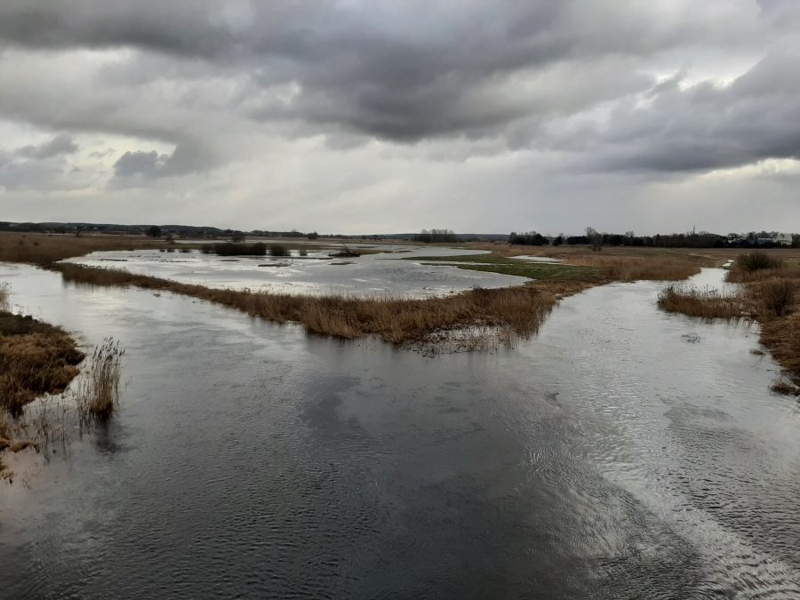 Synoptyczna prognoza pogody na weekend 09-11.02.2024 r.
