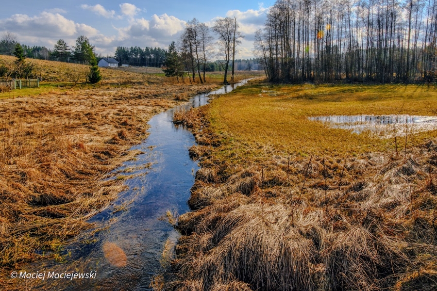 Prognoza meteorologiczna i szczegółowa prognoza hydrologiczna na kolejne 7 dni (15-21.03.2024 r.)