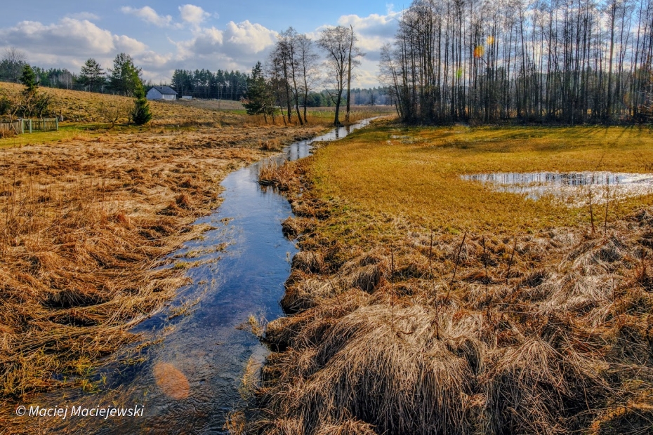 Synoptyczna prognoza pogody na weekend 01-03.03.2024 r.