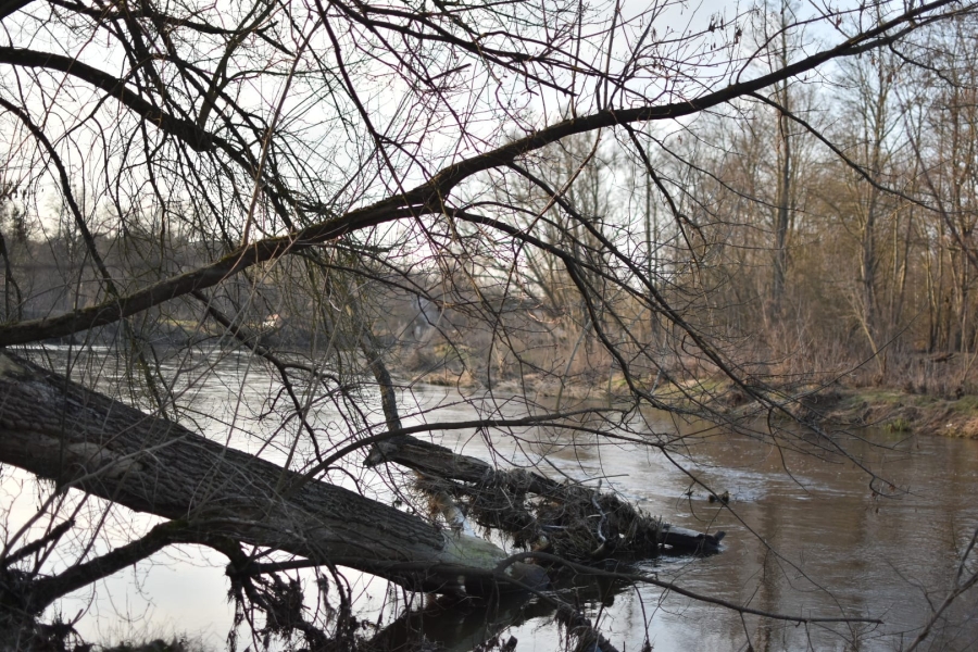 Prognoza meteorologiczna i szczegółowa prognoza hydrologiczna na kolejne 7 dni (22-28.03.2024 r.)