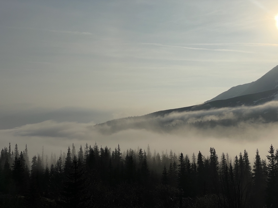 Synoptyczna prognoza pogody na weekend 12-14.04.2024 r.