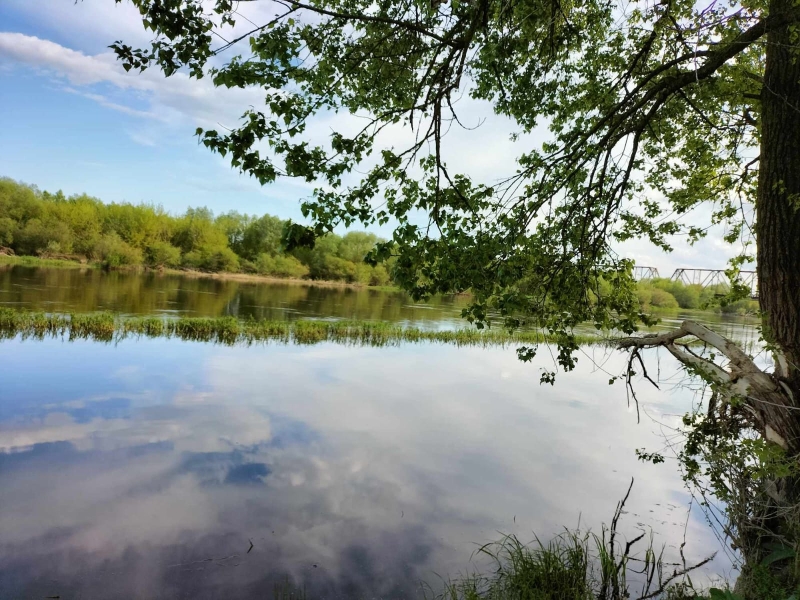 Prognoza meteorologiczna i szczegółowa prognoza hydrologiczna  na kolejne 7 dni (02.05-08.05.2024 r.)