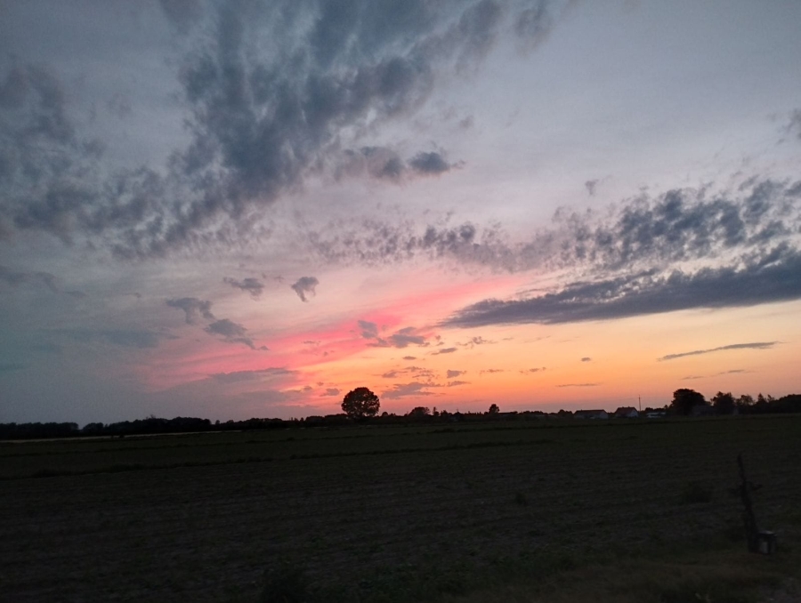 Prognoza meteorologiczna i szczegółowa prognoza hydrologiczna  na kolejne 7 dni (24-30.05.2024 r.)