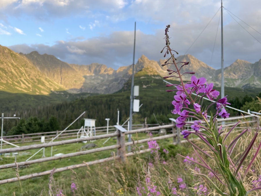 Synoptyczna prognoza pogody na weekend 02-04.08.2024 r.