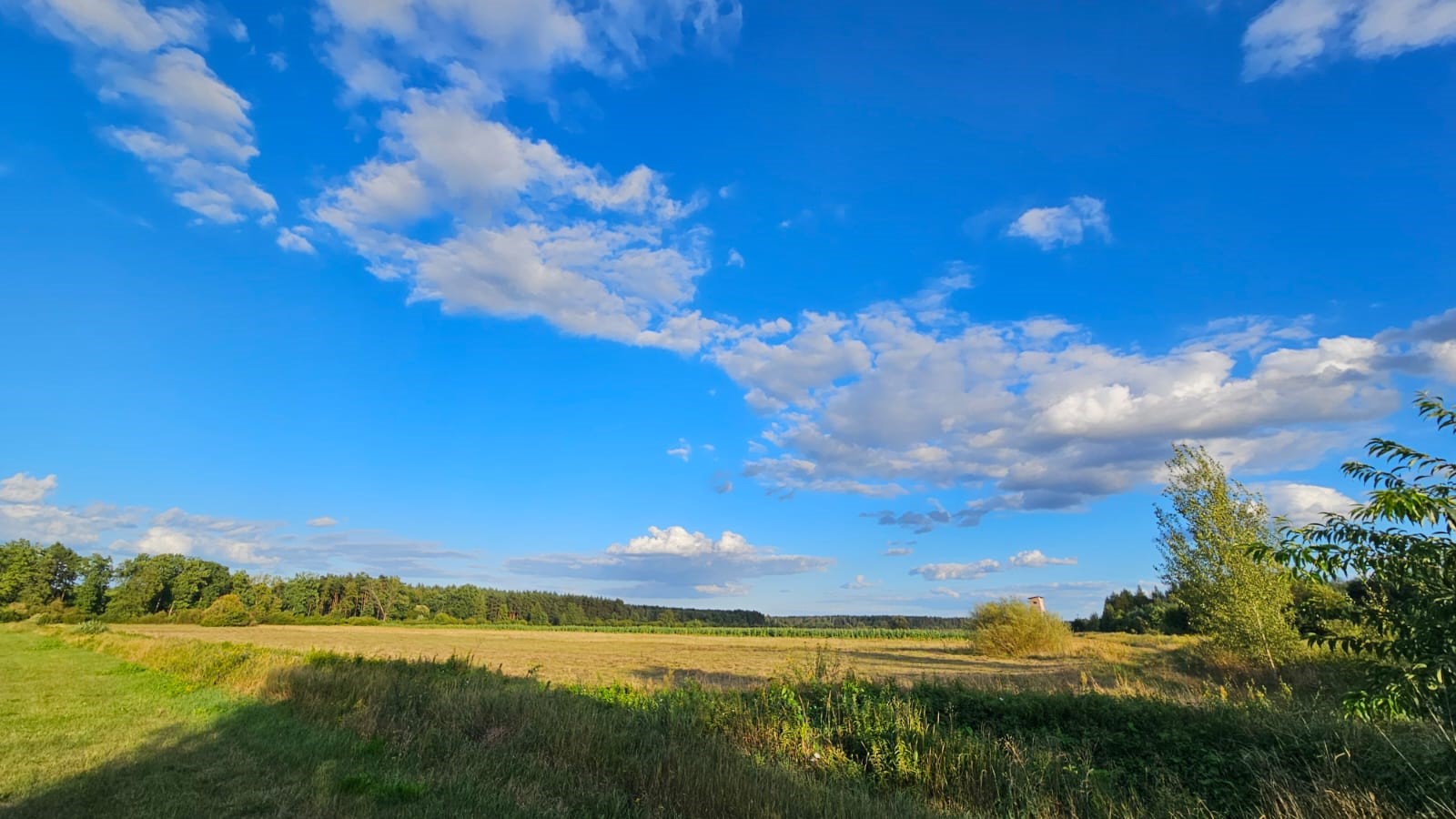 IMGW-PIB: Prognoza synoptyczna na 33. tydzień roku (12-18.08.2024 r.)