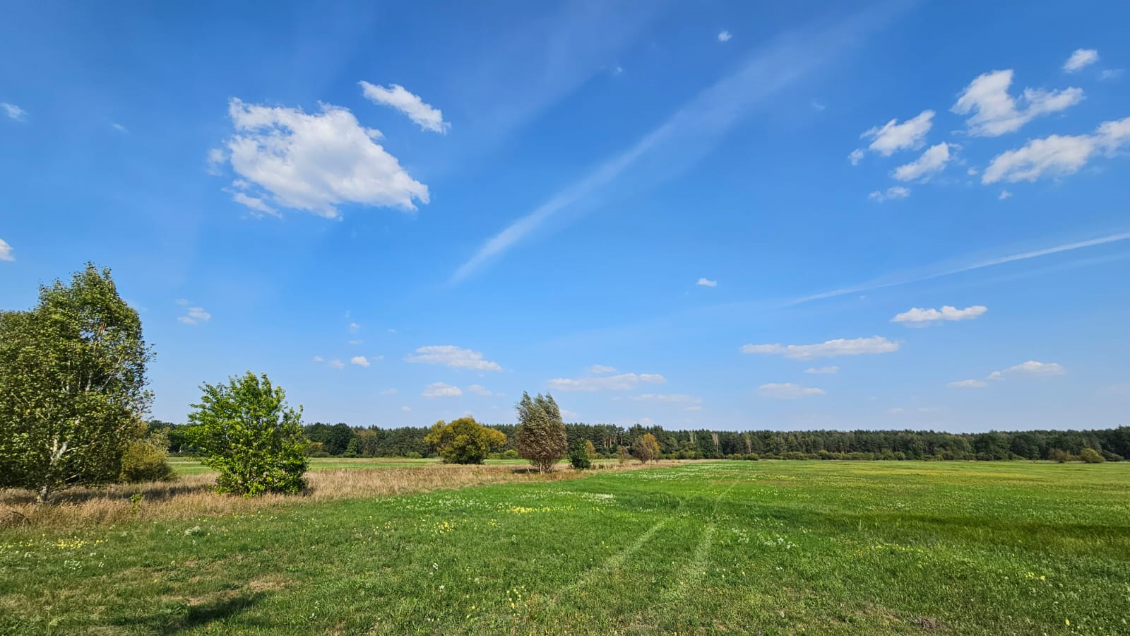 IMGW-PIB: Synoptyczna prognoza pogody na weekend (06-08.09.2024 r.)