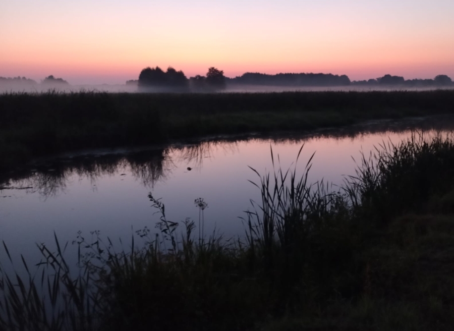 Prognoza meteorologiczna i szczegółowa prognoza hydrologiczna na kolejne 7 dni (06 – 12.09.2024 r.)