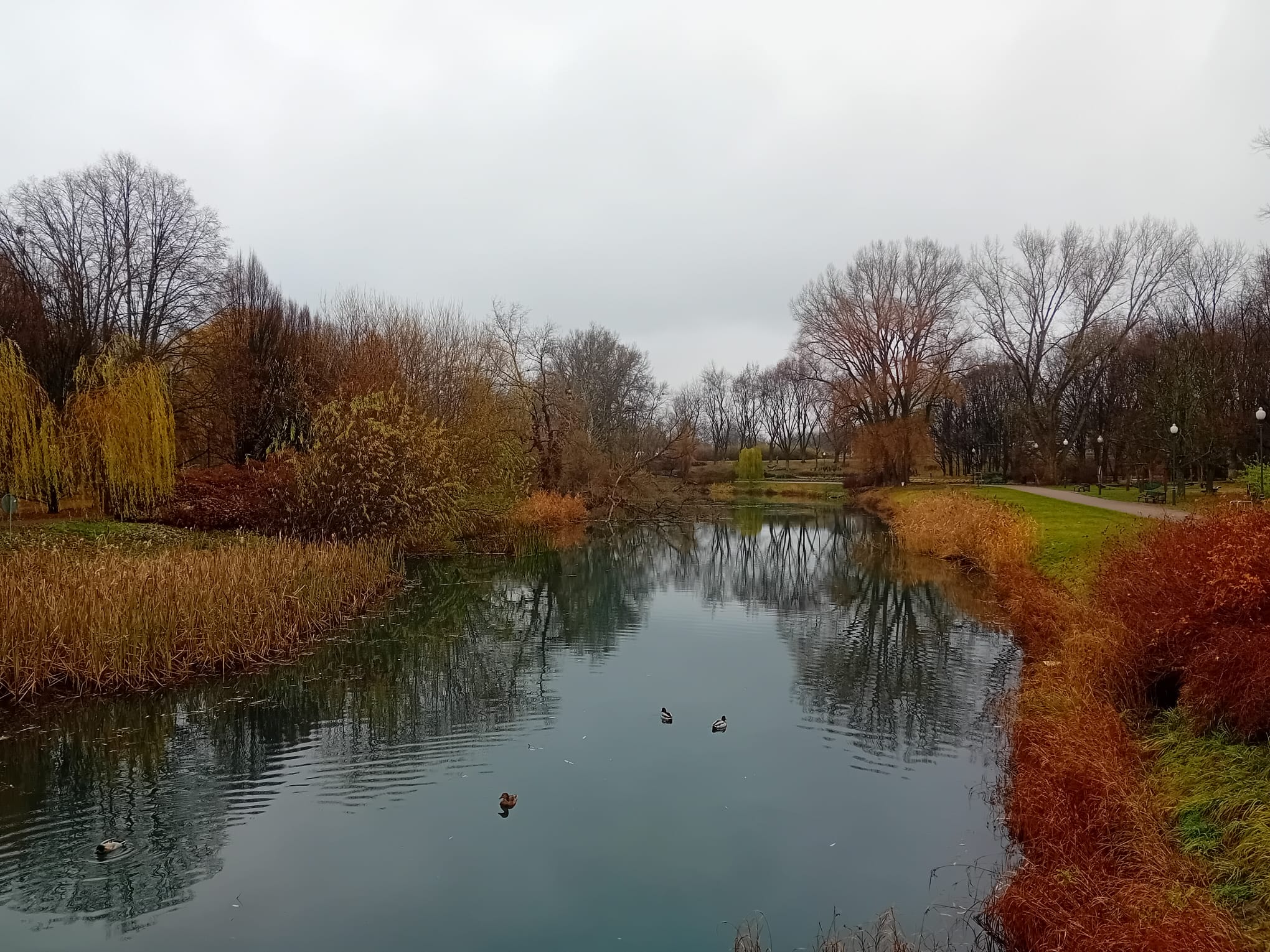 IMGW-PIB: Prognoza meteorologiczna i szczegółowa prognoza hydrologiczna na kolejne 7 dni (06-12.12.2024 r.)